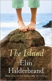 The island : a novel Book cover