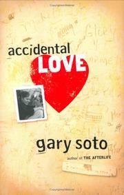 Accidental love Book cover